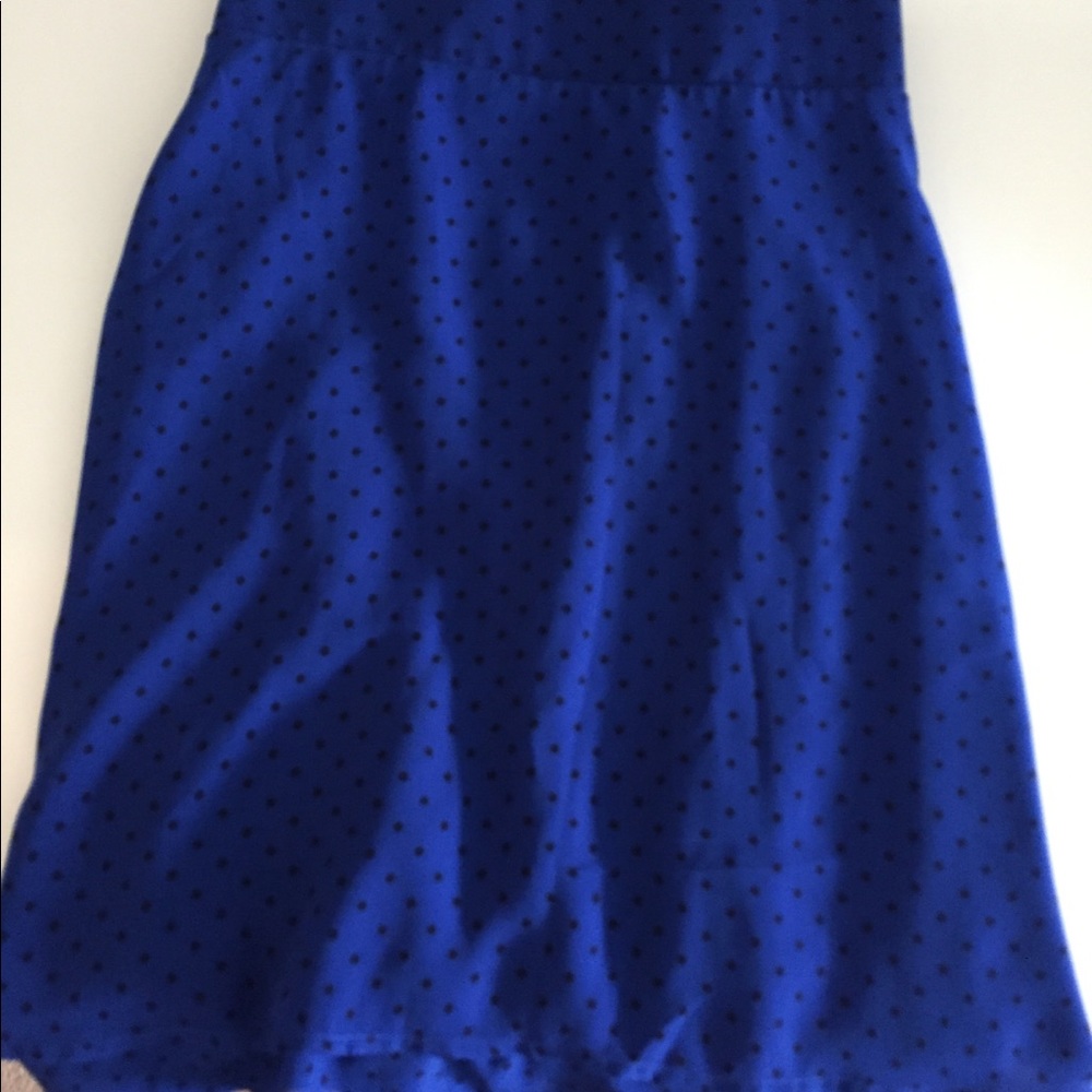 Torrid Polka Dot Skirt